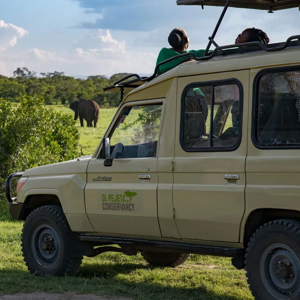 Ol Pejeta Conservancy