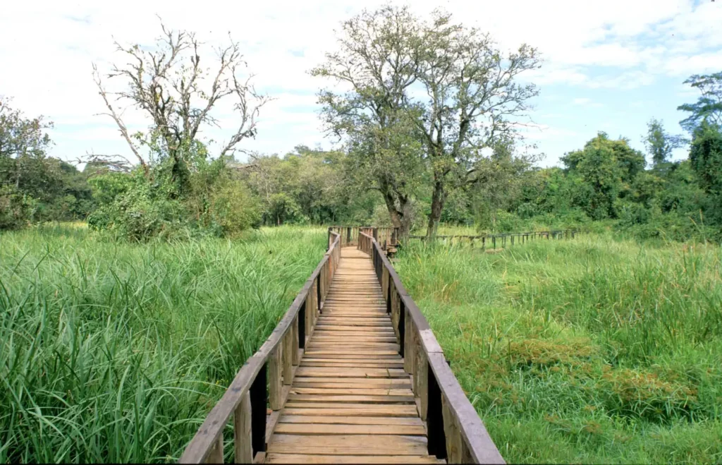 Saiwa Swamp National Park
