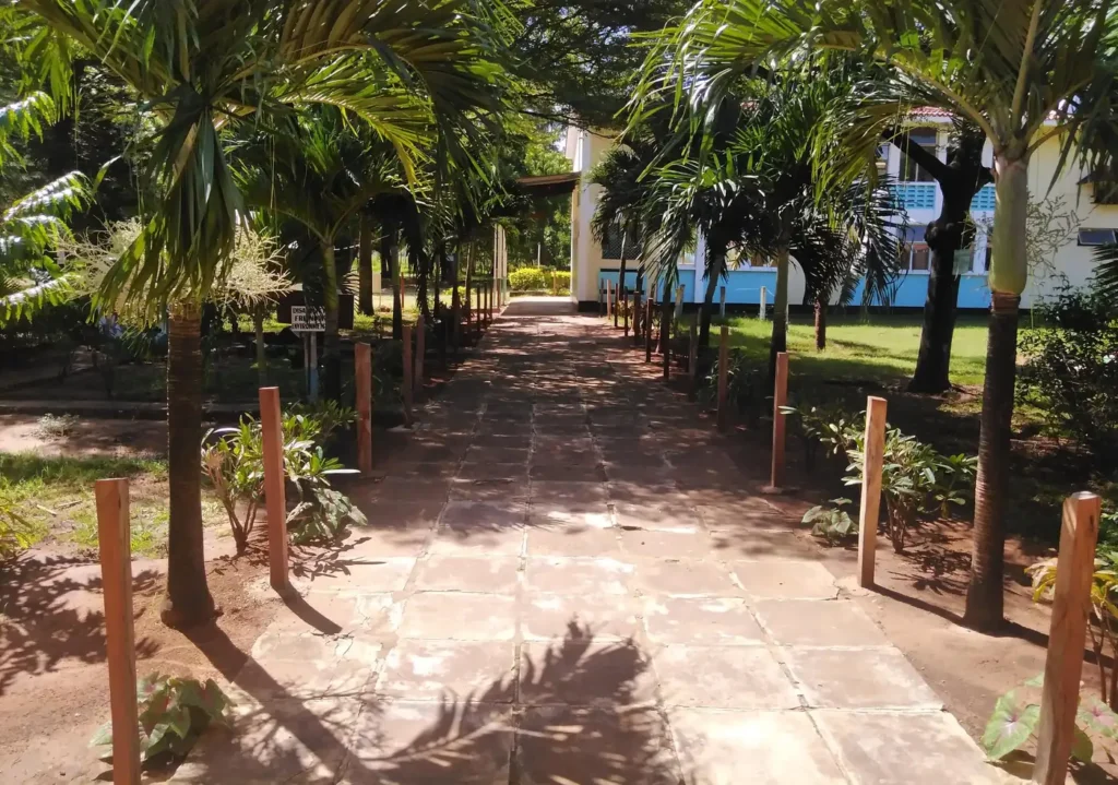Shanzu Teachers' Training College – Teachers College in Mombasa