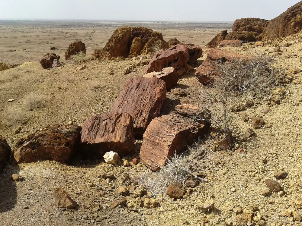 Sibiloi National Park