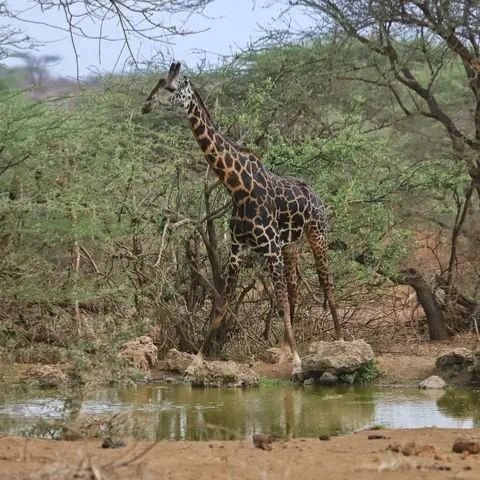 Baringo Tours