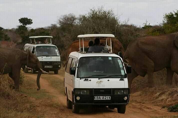 MT tours & safaris kenya