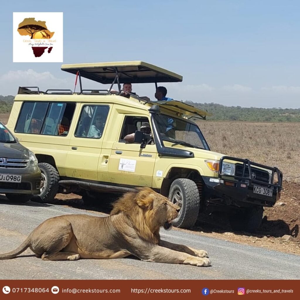 Creeks Tours and Travel