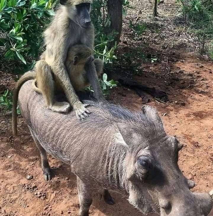 Empire Travels.ke