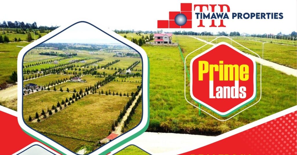 Timawa Properties