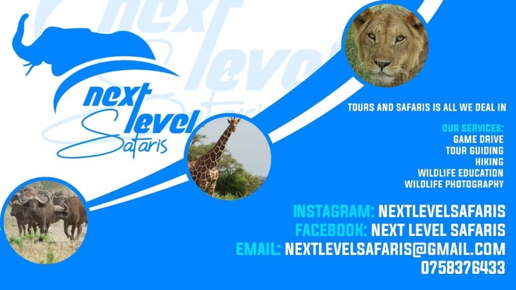 Next Level Safaris