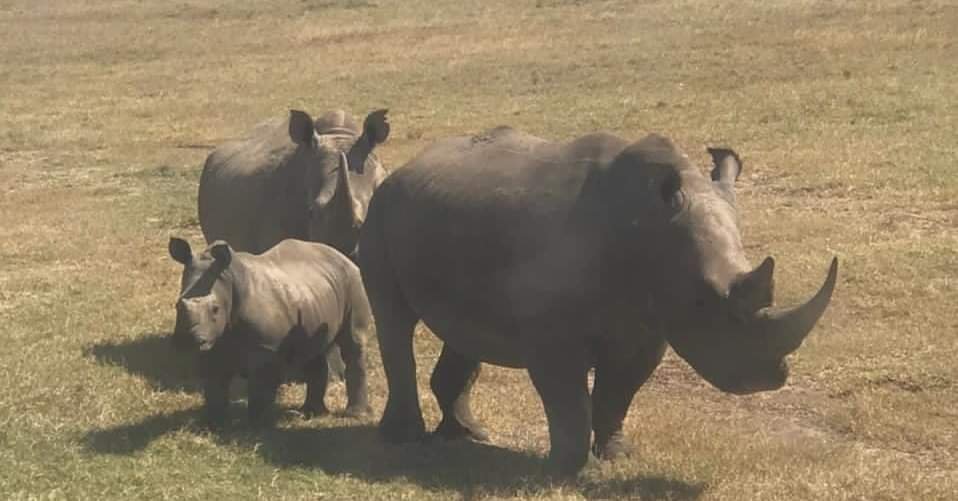 SarPhana Eco-Travels