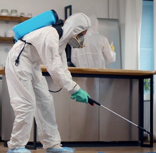 Bestcare Pest Control Services