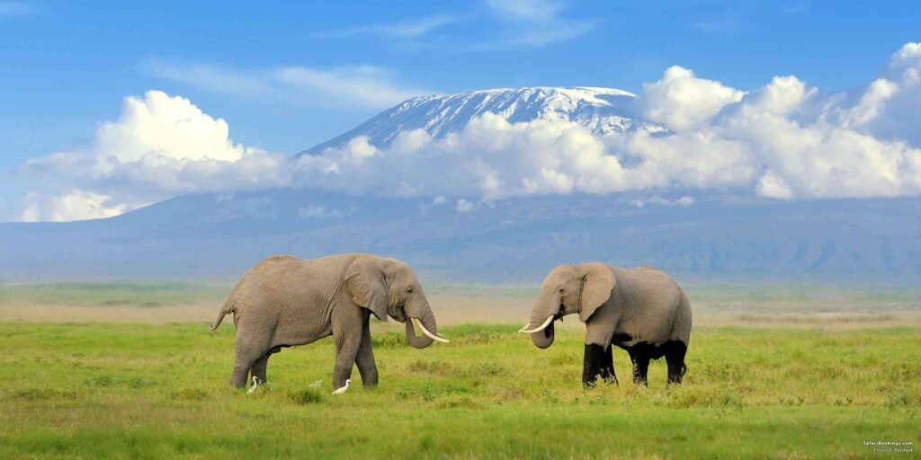 Silent Plains Africa Safaris